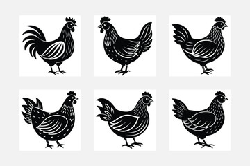 Wild hen illustration bundle 