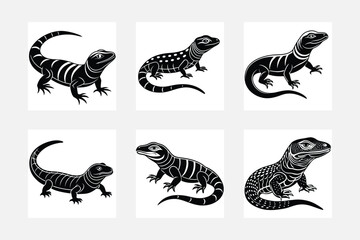 Lizard illustration bundle