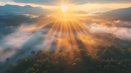 Fototapeta premium Sunrise over misty forest with sun rays shining through the fog