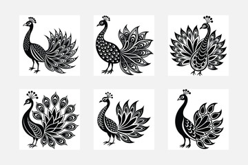 Peacock illustration bundle