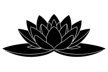 water lily flower line art silhouette vector illustration