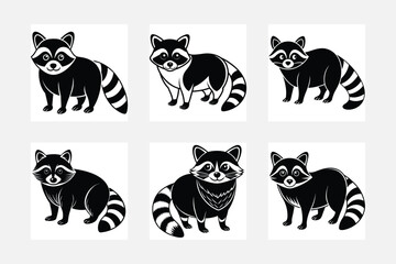 racoon illustration bundle