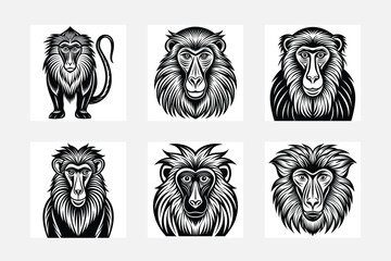 Baboon illustration bundle
