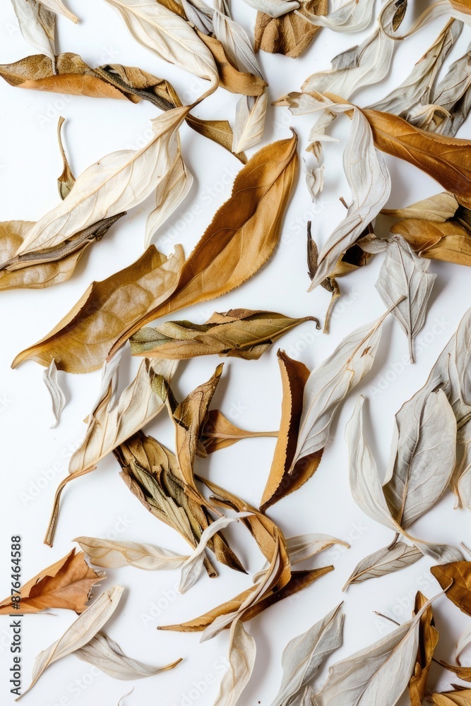 Canvas Prints A pile of dried leaves on a white surface, ideal for autumn or nature-themed designs