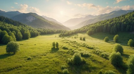 Obraz premium Relaxing greenery on hills with forest, illustration