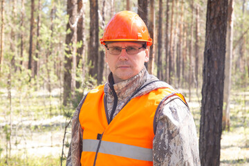 A forest engineer conducts tree research in the forest.