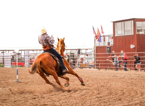 Cowboy Riding In Rodeo Showing Off His Skills