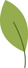 Leaf Handdrawn Icon