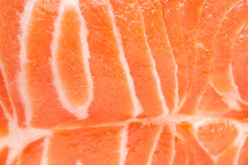 Fresh salmon. Fresh salmon fillet close-up. Selective focus