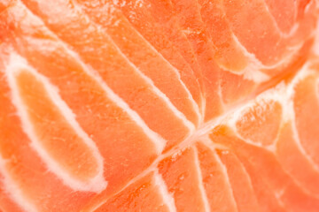 Fresh salmon. Fresh salmon fillet close-up