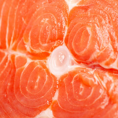 Fresh salmon. Fresh salmon steak close-up