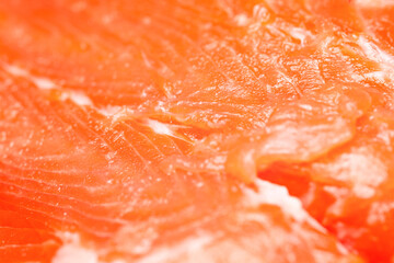 Fresh salmon. Salmon fillet texture close-up