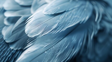 Naklejka premium a close up of a blue bird's feathers with a blurry background