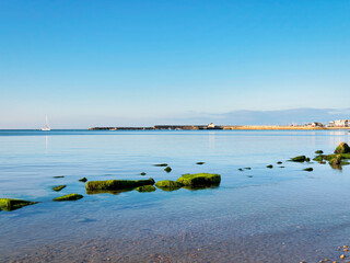 Rocks and algae exposed during low tide at Church Cliff beach Lyme Regis.on a calm sunny September morning
