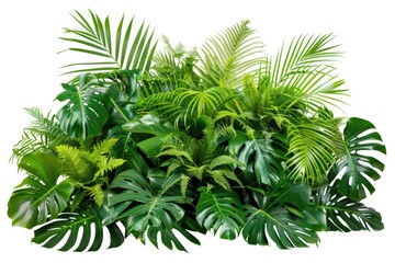 Close-up of various tropical plants on a bright white surface