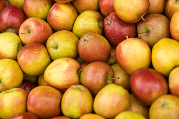 apples in the market