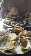 fresh french oyster as gourmet seafood