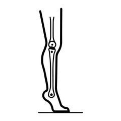 leg icon or modern line symbol. Vector line art and icon design with bold outline. Black and white Pixel Perfect minimalistic symbol isolated white background. Silhouette simple thin sign