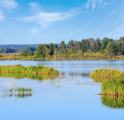 Evening summer lake landscape.
