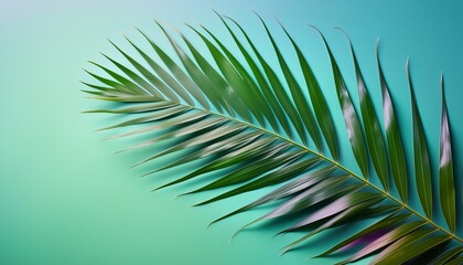 Obraz premium palm tree leaf