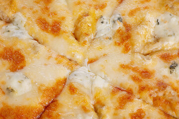 Cheese pizza as a macro photo background. Food photography, pizza