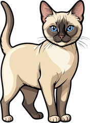 Obraz premium Siamese cat the Lovely Kitten with Blue Eyes of vector illustration isolated on a funny happy Domestic animal.