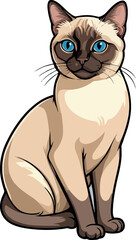 Obraz premium Siamese cat the Lovely Kitten with Blue Eyes of vector illustration isolated on a funny happy Domestic animal.