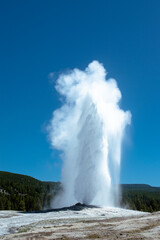 old faithful geyser eruption at Yellowstone National Park, with a clear sky.