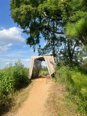 Tunnel in the park