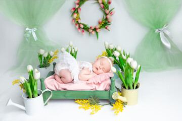 A little charming newborn girl lies on a crib surrounded by white flowers. Neutral background. Studio shot of a ten-day-old newborn baby. Beginning of life.