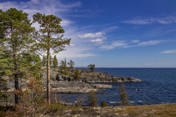 A beautiful view of a lake with a few trees in the background