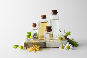 Aromatherapy. Different essential oils, dry flowers, chamomiles and fir twigs on white background