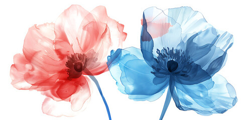 Delicate red and blue watercolor flowers on a white background, conveying a sense of elegance and natural beauty.