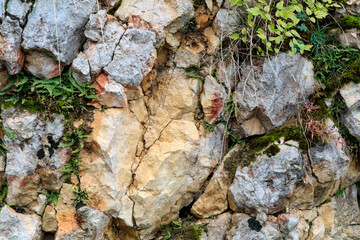 Europe, Romania. Brasov. Rockery.