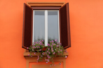 Europe, Romania. Mures County, Sighisoara. Window.