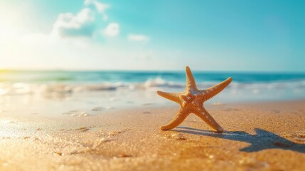 A starfish perched on wet sand against the foreground of a bright, clear sky and calm ocean waves, embodying a peaceful and idyllic coastal view.