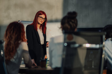 Female mentor having seminar and educating her team of experts at office