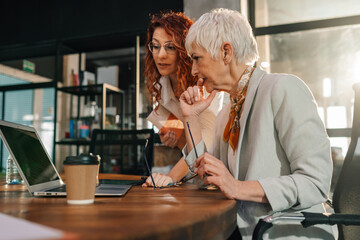 Senior female boss analyzing business strategy on laptop with colleague