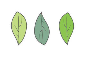 Set of 3 green leaf icons in vector