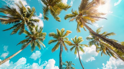 Looking up at tall, swaying palm trees set against a bright blue sky with fluffy white clouds, this image captures the essence of tropical relaxation and natural beauty.