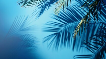 This abstract photograph captures the artistic shadows of tropical palm leaves against a clear blue backdrop, evoking a serene and tranquil coastal summer feeling.