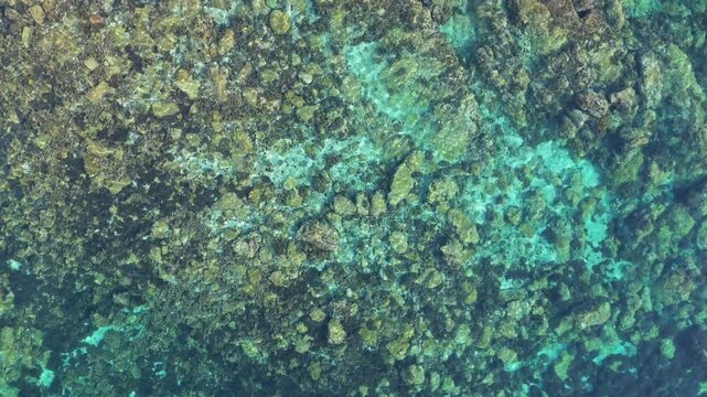 toma desde arriba con un dron de una playa cristalina con corales y peces