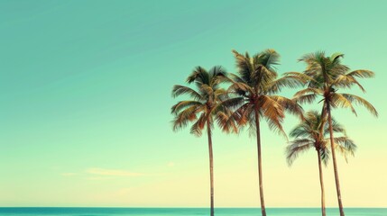 This tranquil image shows three palm trees standing by the calm blue ocean under a pastel-hued sky, evoking a feeling of serene tropical paradise and endless summer.