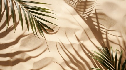Obraz premium A serene beach scene featuring palm fronds creating shadows over smooth sand. The sun's angle accentuates the natural decor, embodying tranquility and peacefulness.