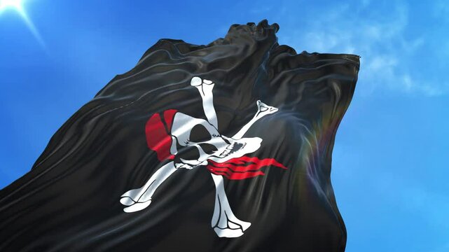Pirate Flag Flag Low Angle