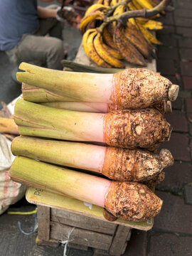 taro, sold on the side of road, talas bogor