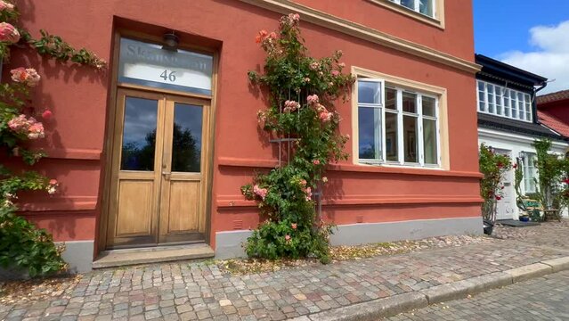 Street with roses and benches by colorful small houses in, Ystad, Sk&aring;ne County, Sweden, Scandinavia, Europe
