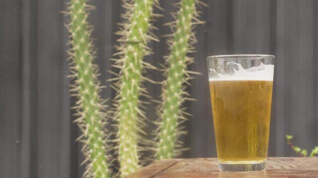 Hombre disfrutando de un vaso de cerveza artesanal en un bar exterior