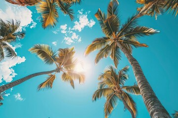 Looking up at blue sky and palm trees, view from below, vintage style, tropical beach and summer background, travel concept