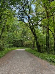 Fototapeta premium Shots of untouched parts of nature in the Pacific Northwest